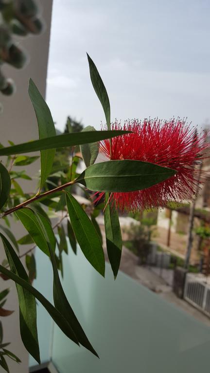 Guesthouse Laterna Herceg Novi Bagian luar foto